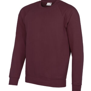 Alternative view of Senior Academy raglan sweatshirt